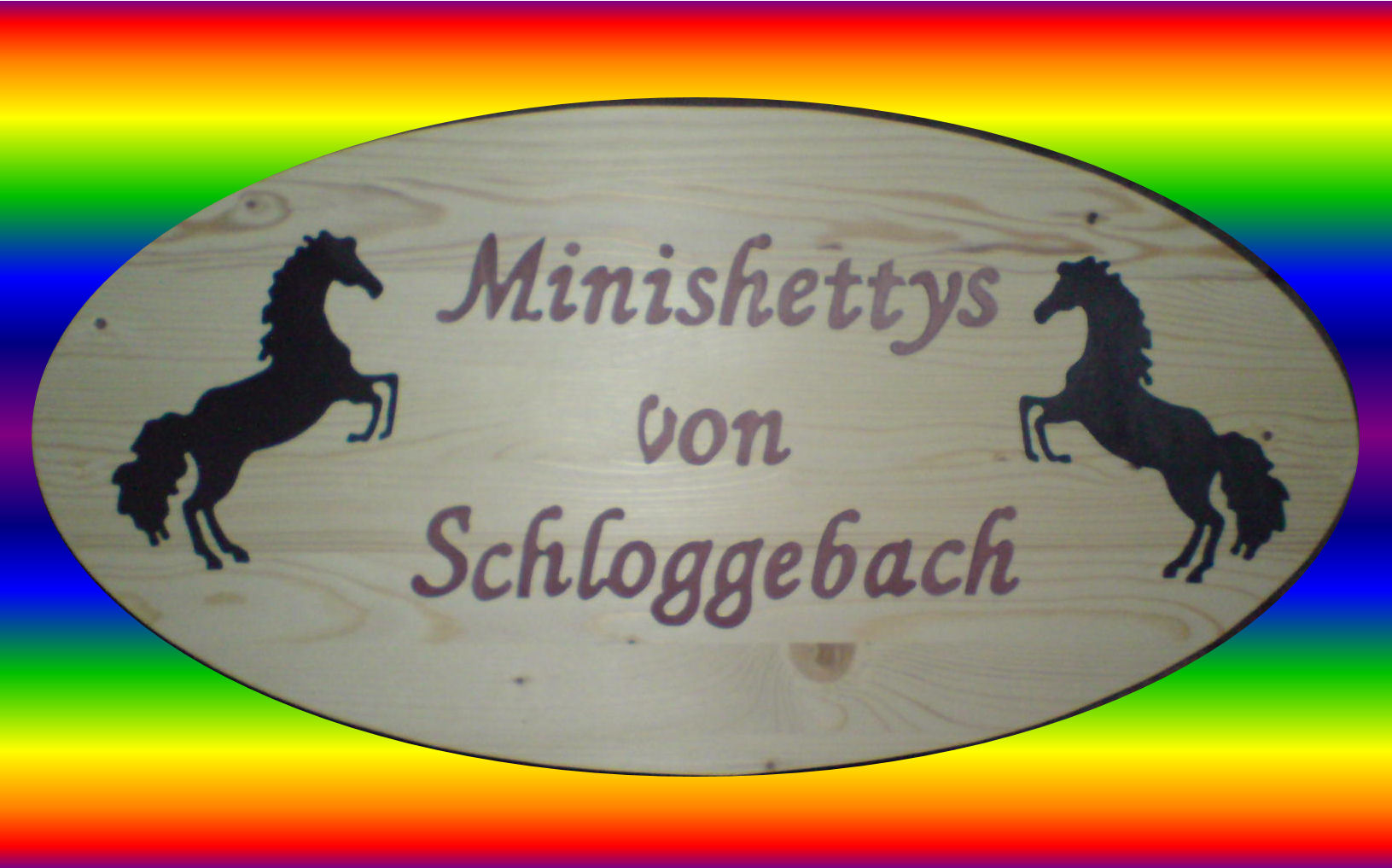 Eingangsschild 80cm x 50cm